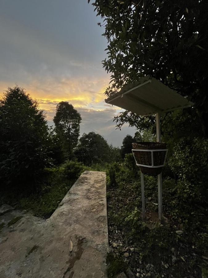 The Nettle And Fern Farmstay เปลลิง ภายนอก รูปภาพ