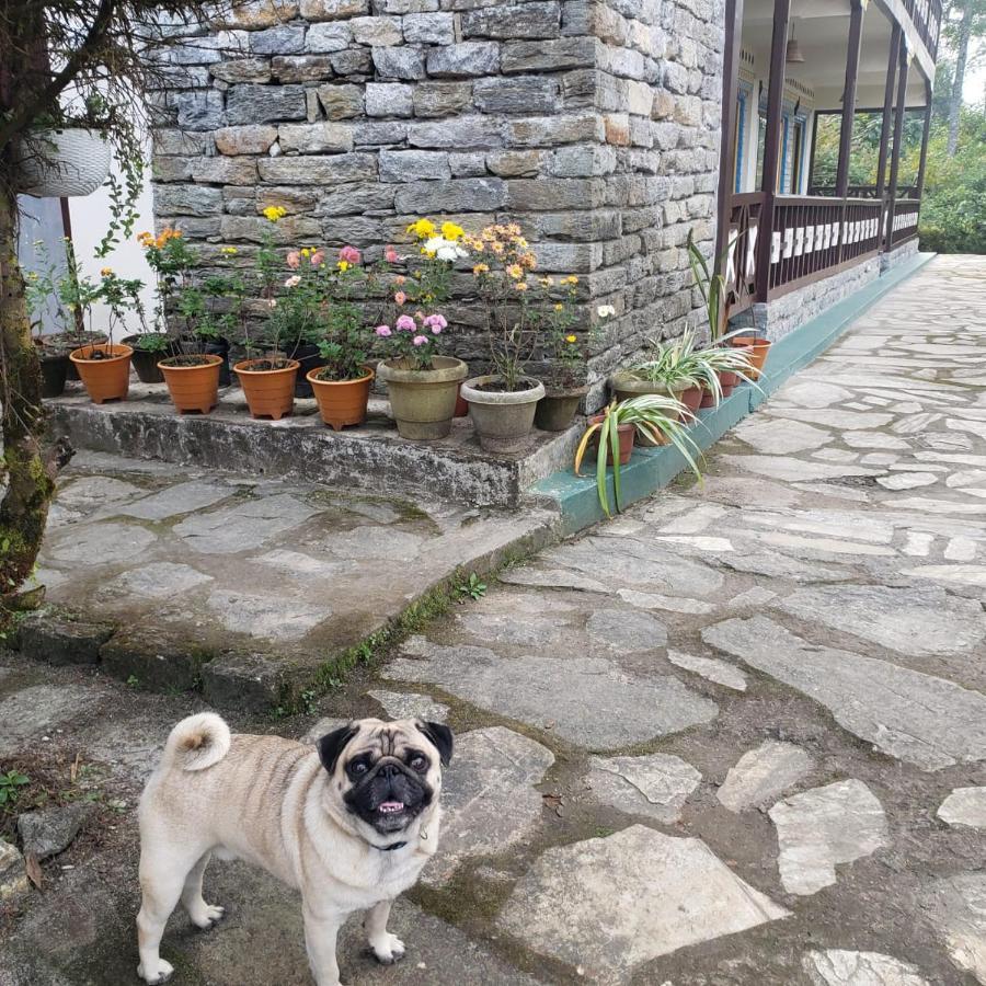 The Nettle And Fern Farmstay เปลลิง ภายนอก รูปภาพ