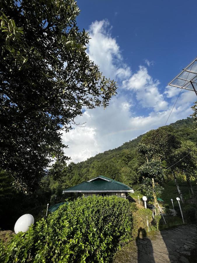 The Nettle And Fern Farmstay เปลลิง ภายนอก รูปภาพ