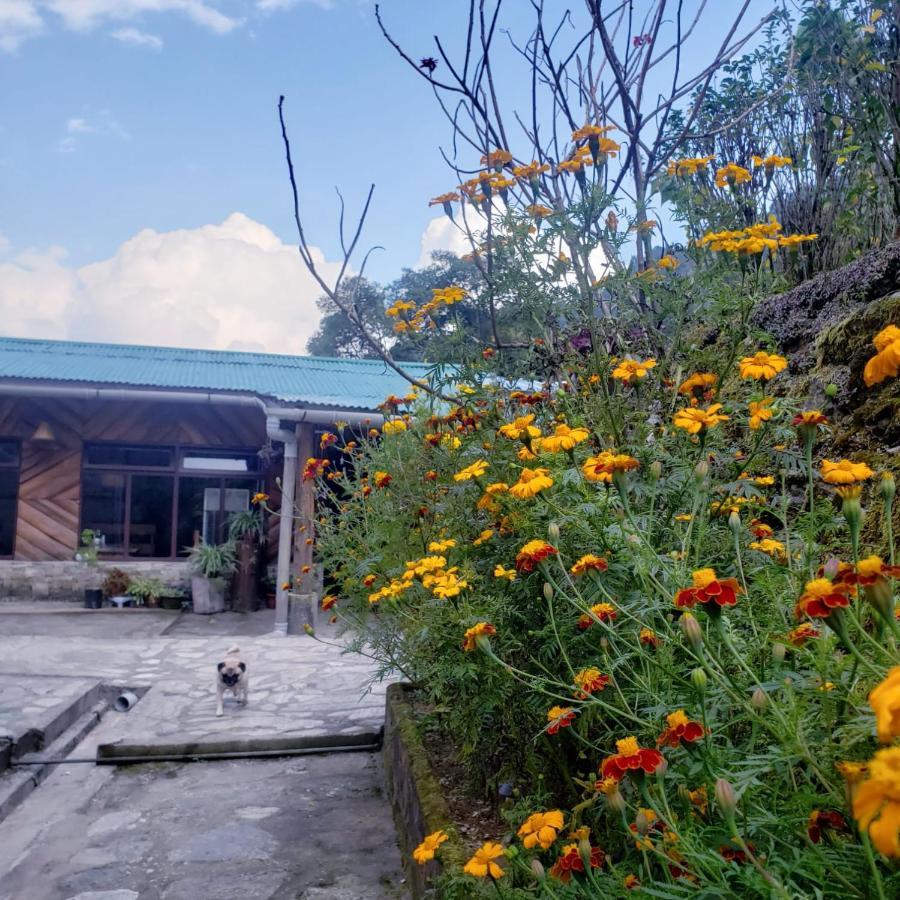 The Nettle And Fern Farmstay เปลลิง ภายนอก รูปภาพ